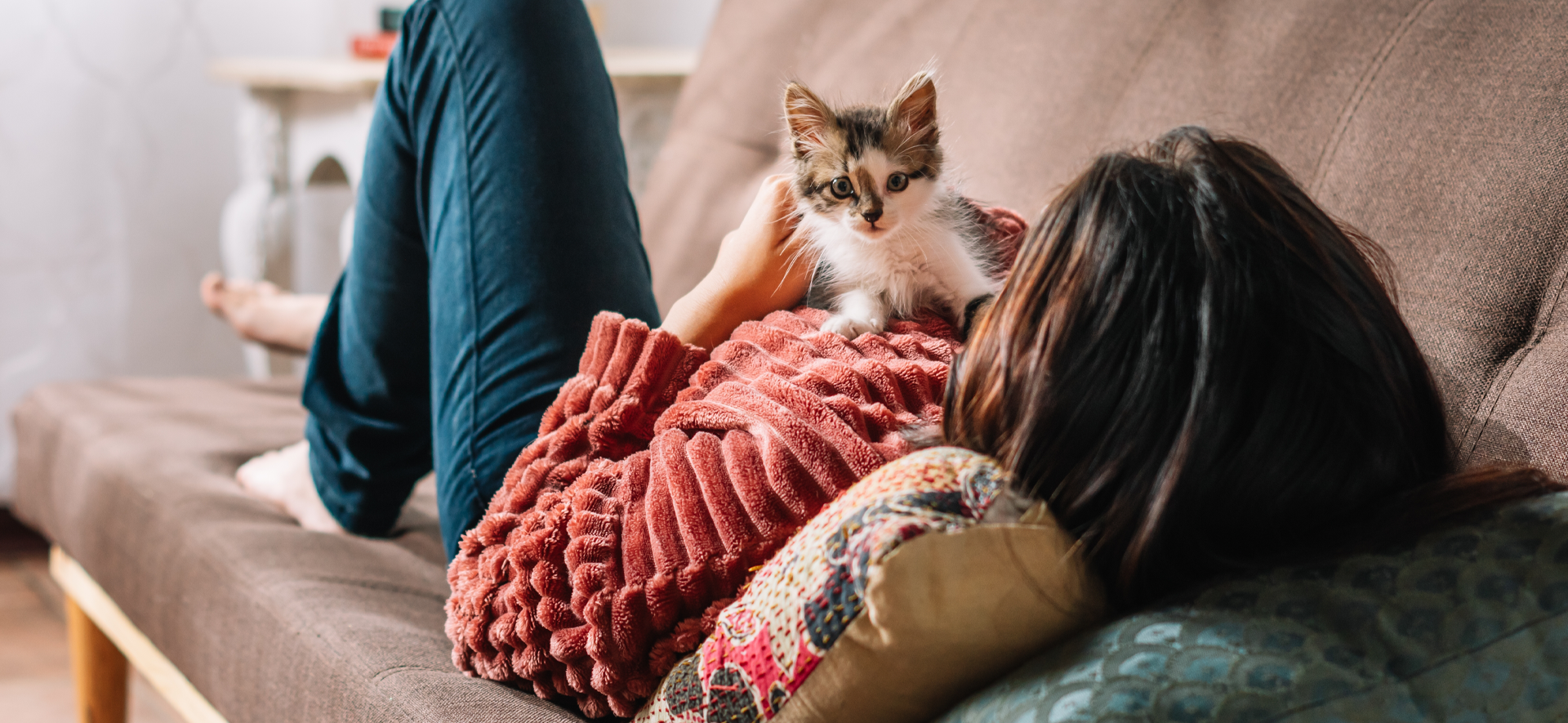comida ideal para un gato en crecimiento